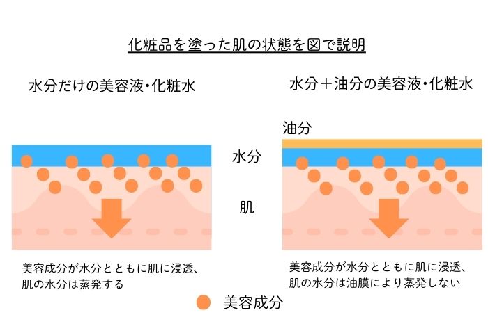 夏のスキンケア図解で解説します。
肌に塗った化粧品が浸透する図