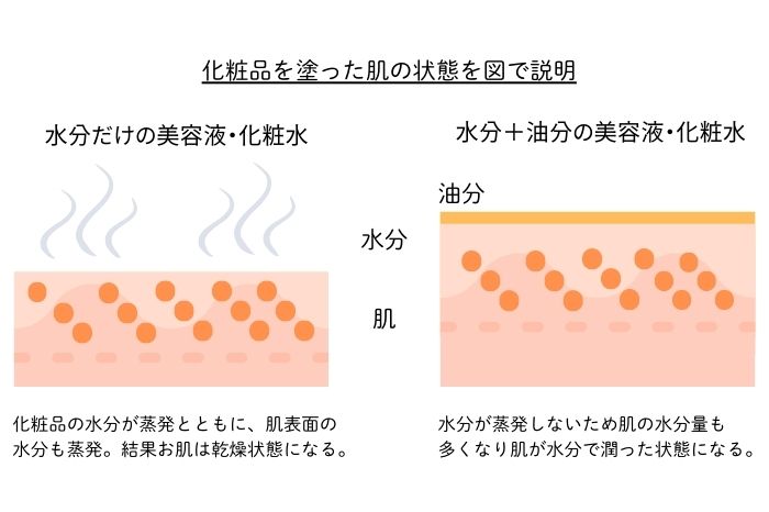 夏のスキンケア図解で解説します。
肌に塗った化粧品の違い